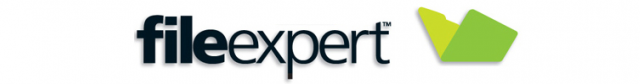 filee xpert file expert-Data Storage Management Services