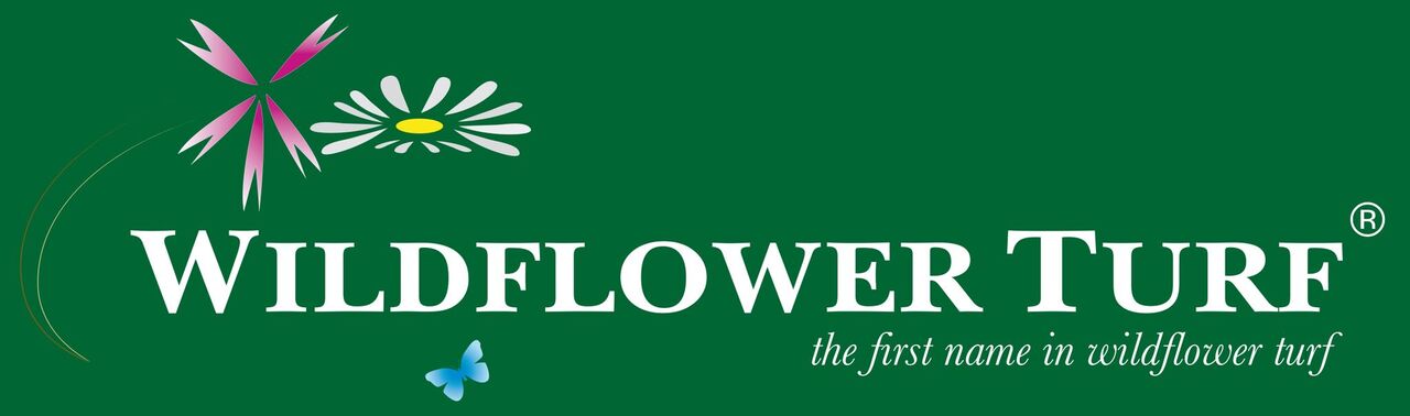 WildflowerTurf WildflowerTurf-Grass-Wildflower-Seeds