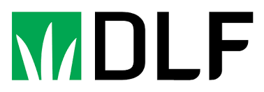 DLF DLF-Grass-Wildflower-Seeds