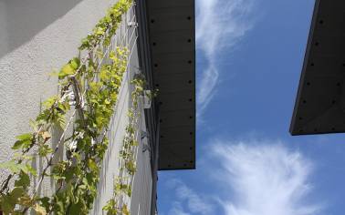 GreenBlue Urban Green Wall Systems BreenBlue-Urban-Greenwall-Systems