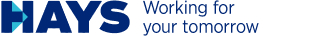 Hays-Recruitment Services Agencies and Consultants