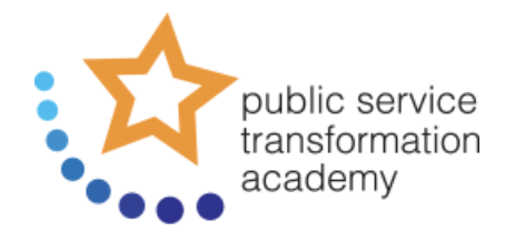 Public Service Transformation-Training Services Development and Consultancy