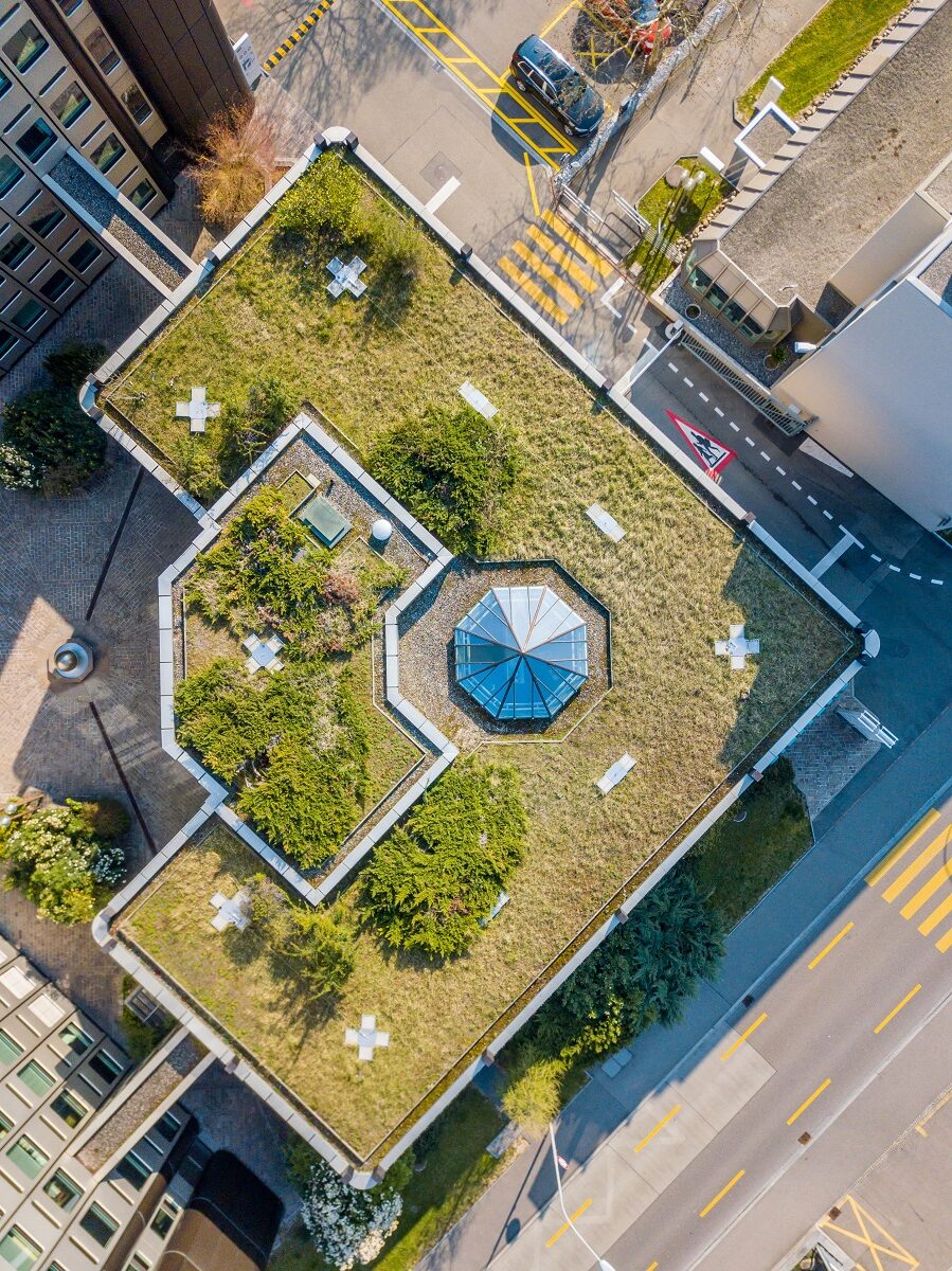 Green roofing Birds Eye